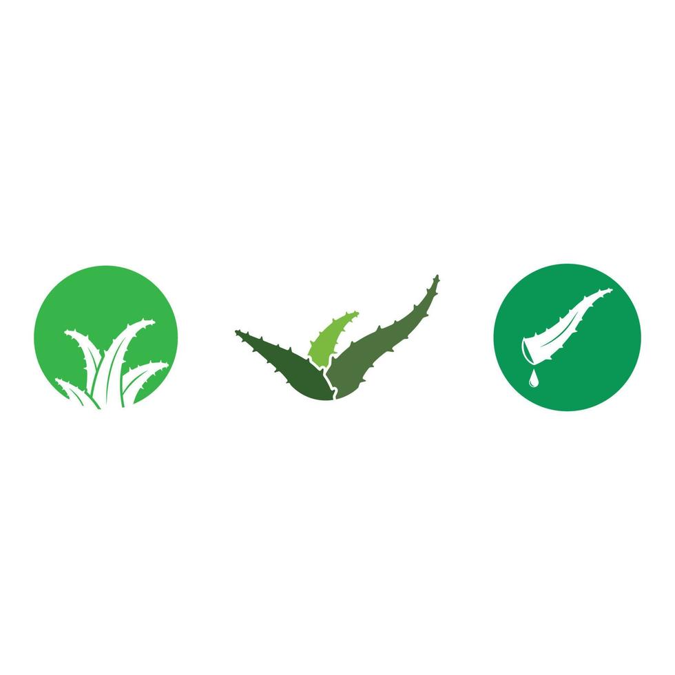 Aloe vera logo vector ilustration template