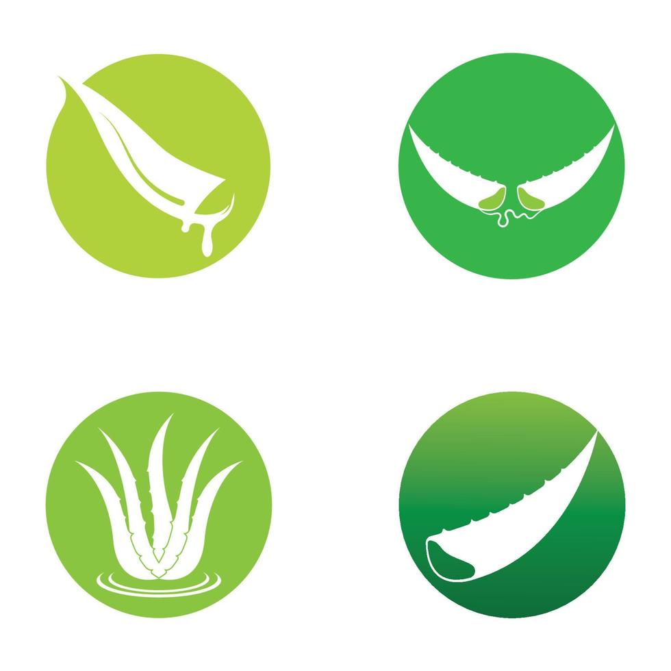 Aloe vera logo vector ilustration template