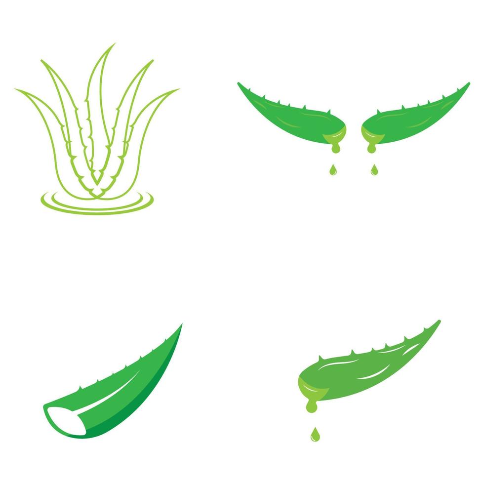 Aloe vera logo vector ilustration template