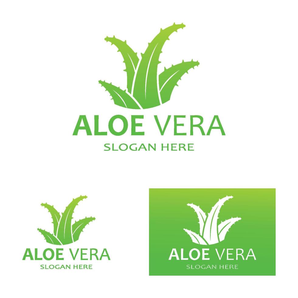 Aloe vera logo vector ilustration template