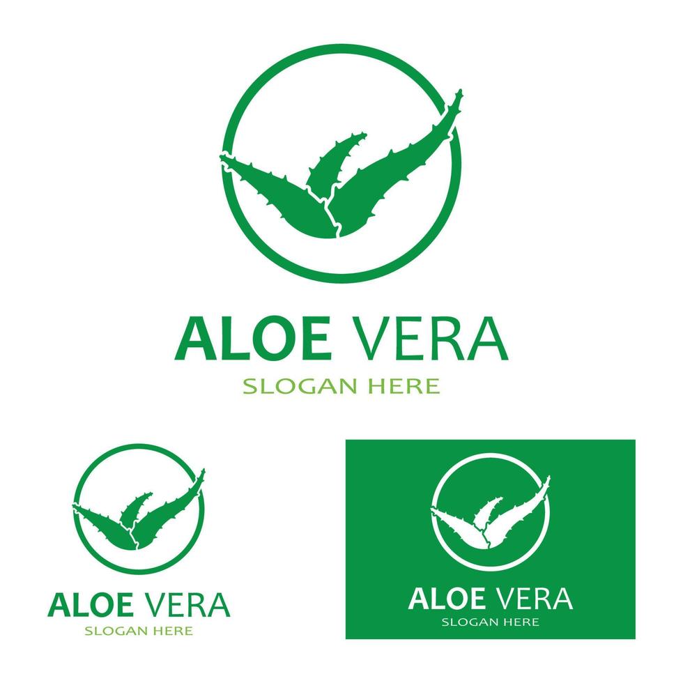 plantilla de ilustración de vector de logotipo de aloe vera