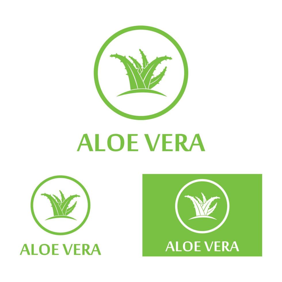 Aloe vera logo vector ilustration template