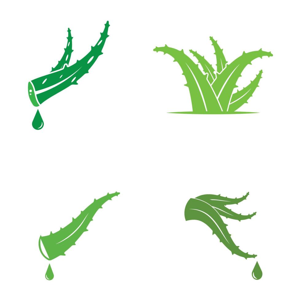 Aloe vera logo vector ilustration template