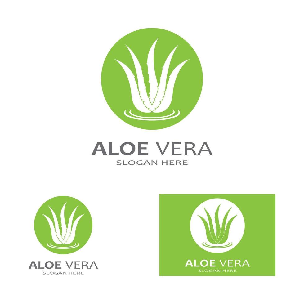 plantilla de ilustración de vector de logotipo de aloe vera