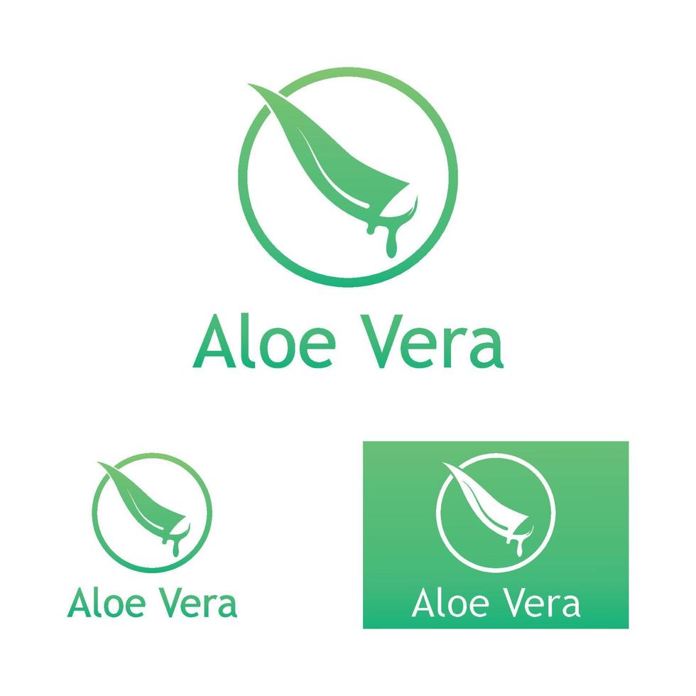 Aloe vera logo vector ilustration template