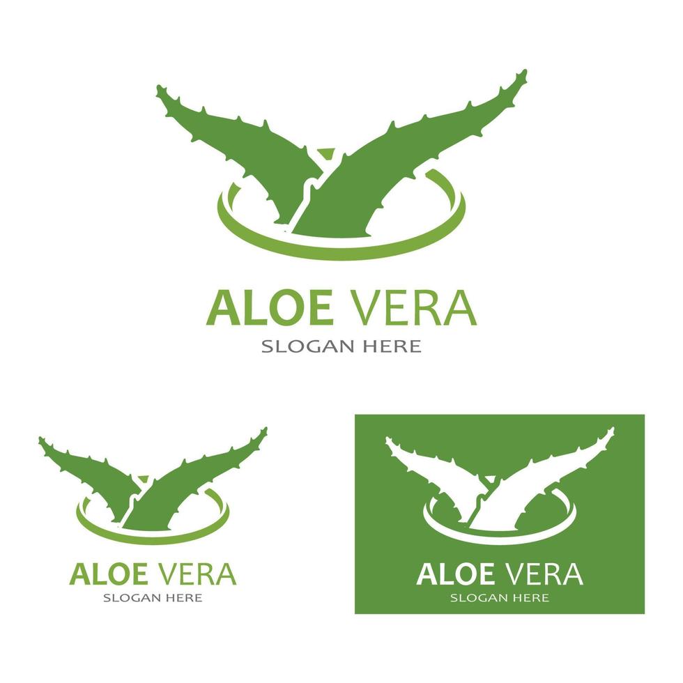 Aloe vera logo vector ilustration template