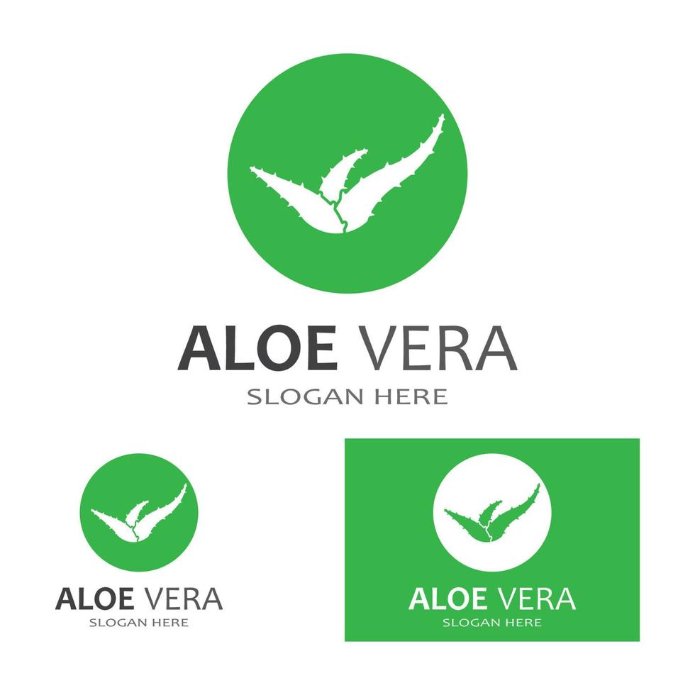 plantilla de ilustración de vector de logotipo de aloe vera