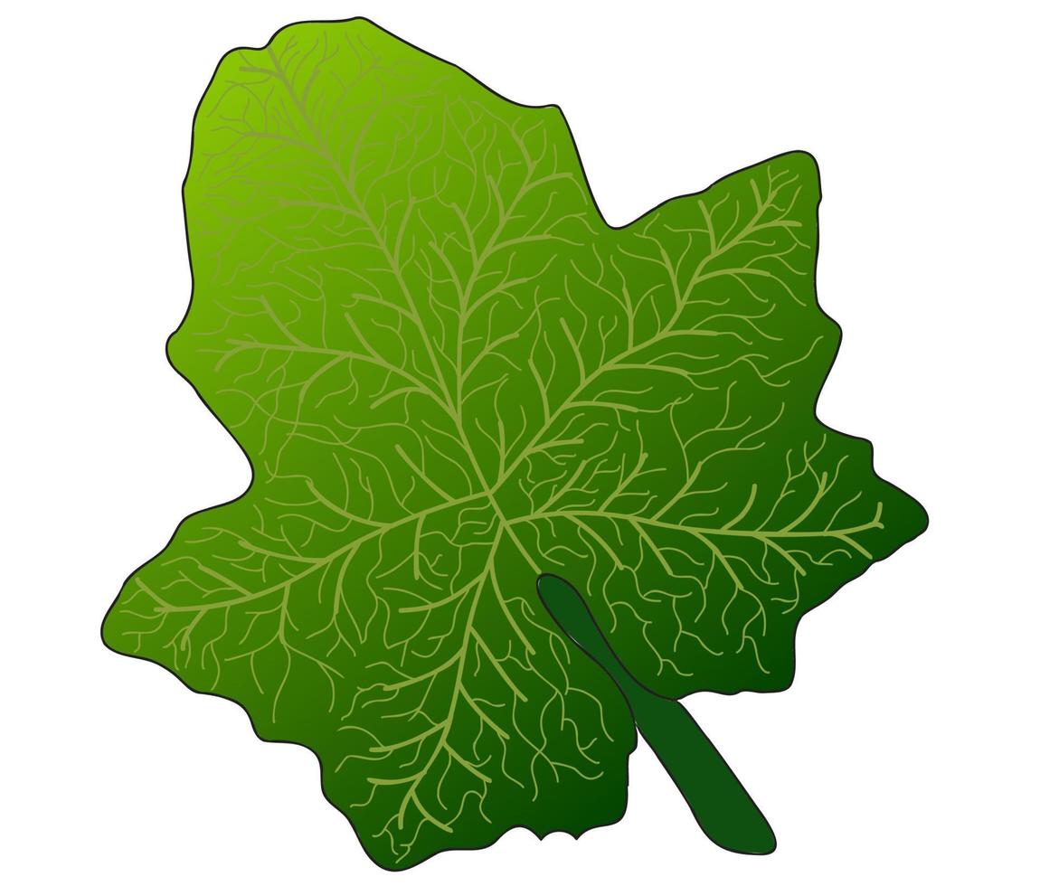 leaf painted with your own, intended for printing, tattoo, card, clothing printing and various things vector