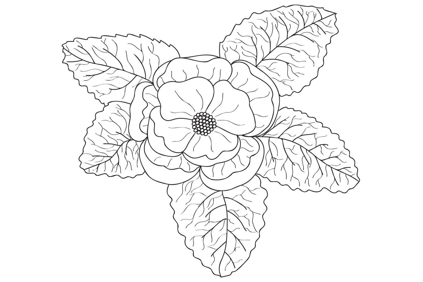 Peony flower painted by you is intended for tattoo, card, March 8, Valentine, fabric printing and other occasions. vector