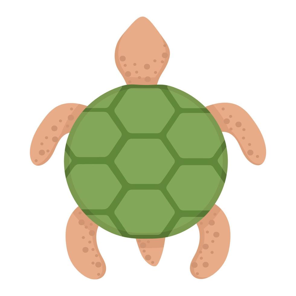 Little sea turtle. Doodle flat clipart. All objects are repainted. vector