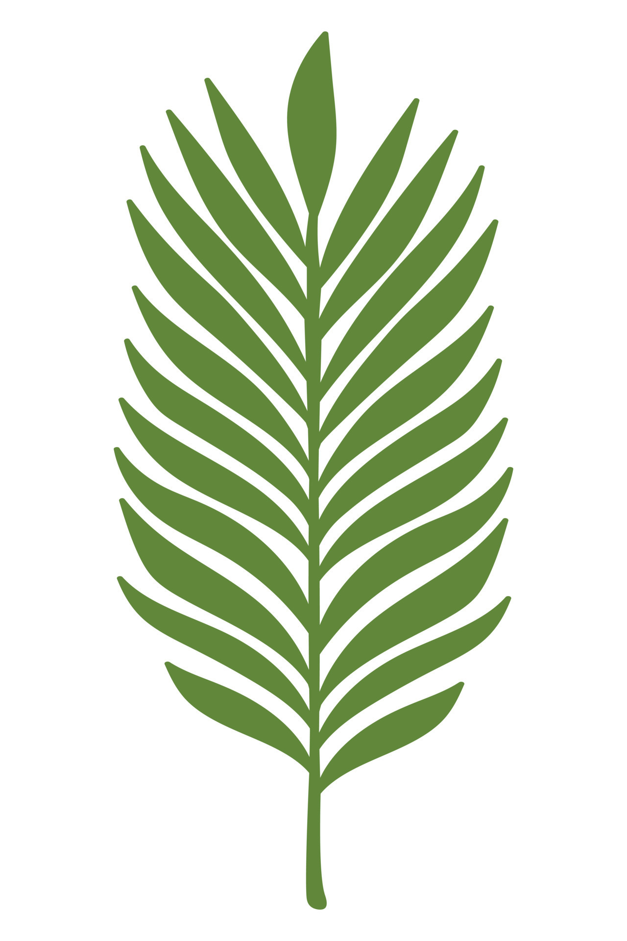 tropical-palm-leaves-doodle-flat-clipart-all-objects-are-repainted