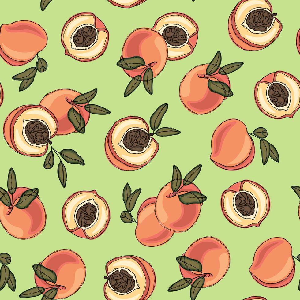 Summer pattern with juicy peaches and apricots vector