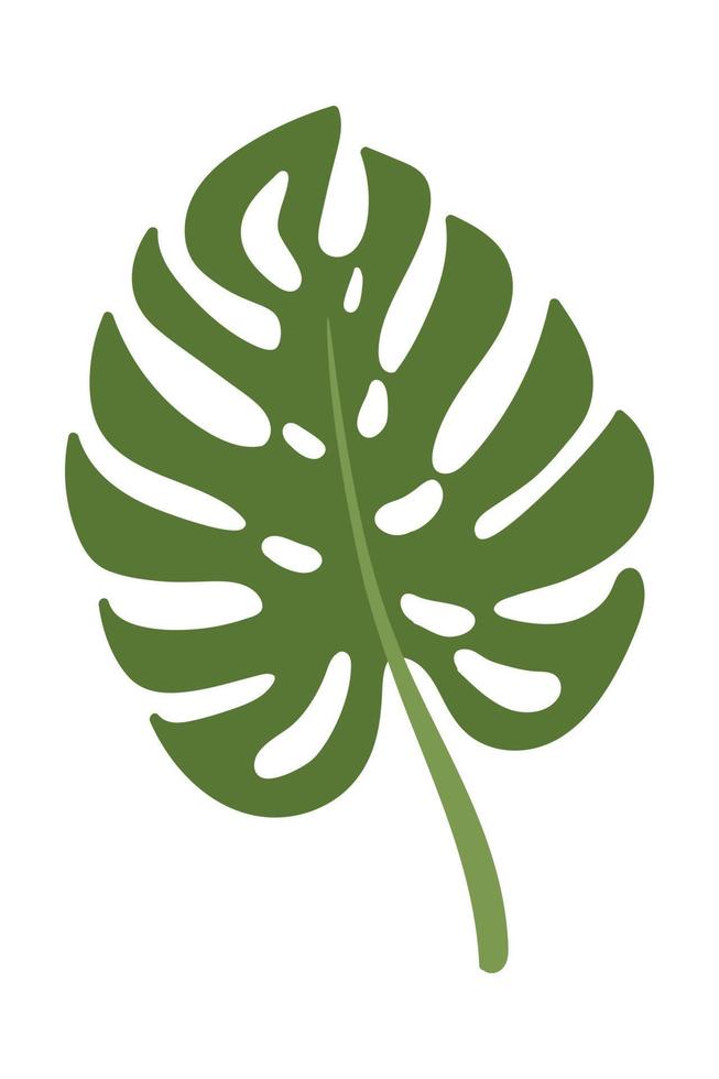 Tropical palm leaves. Doodle flat clipart. All objects are repainted. vector