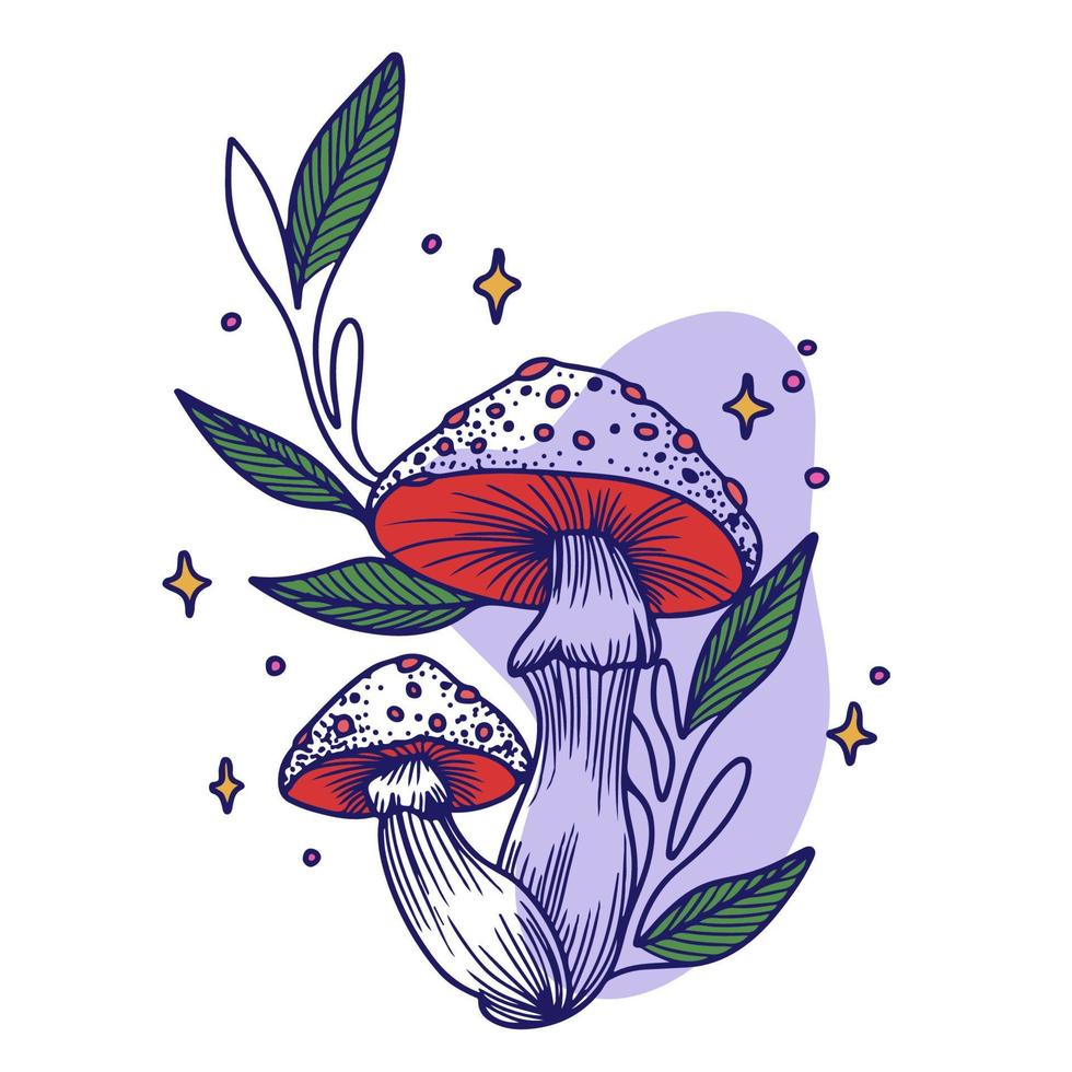 Fairy mushrooms, a pair of mushrooms with plants and a starry background, graphics, doodle vector
