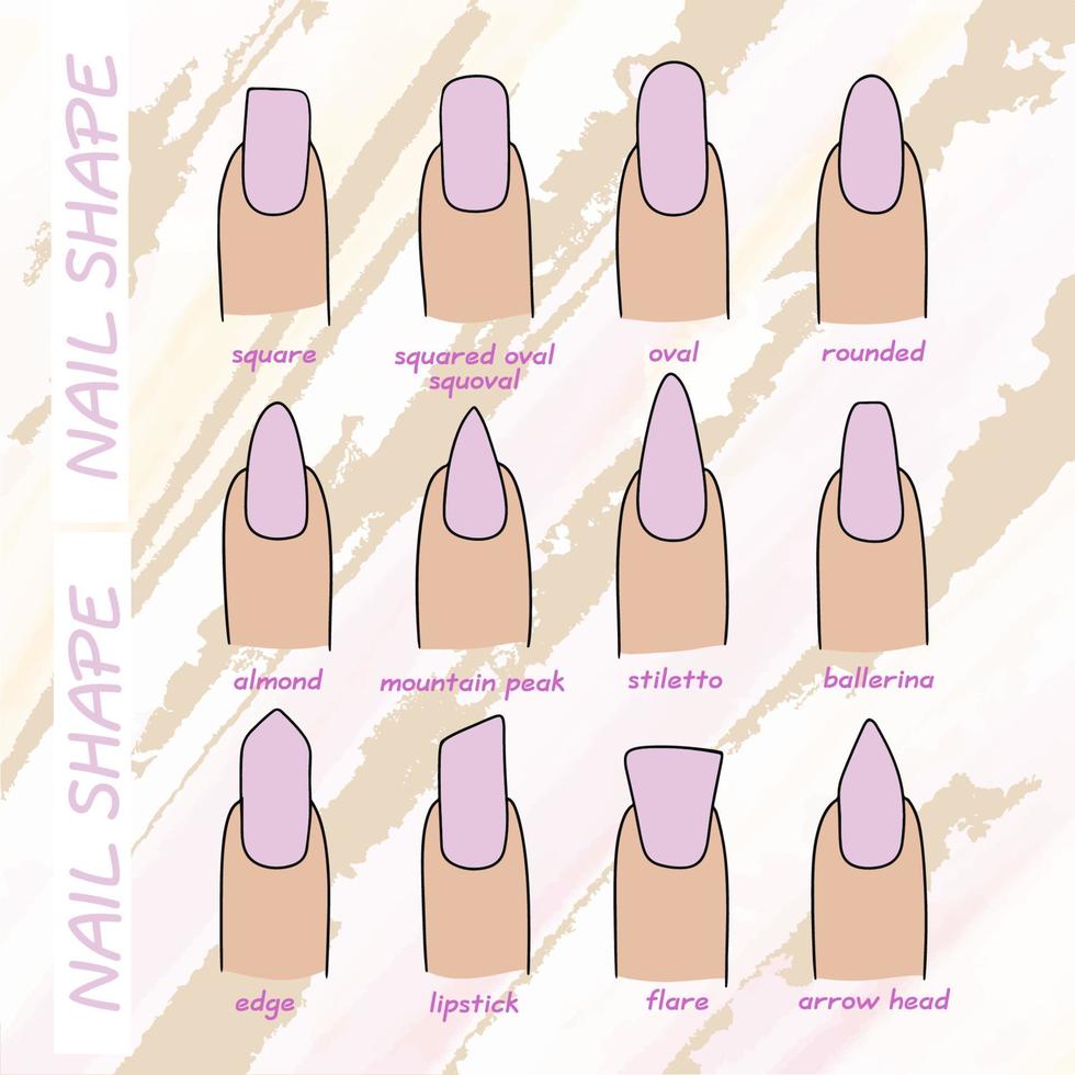 The shape of the nail plate and their name, round, oval and other designs, manicure vector