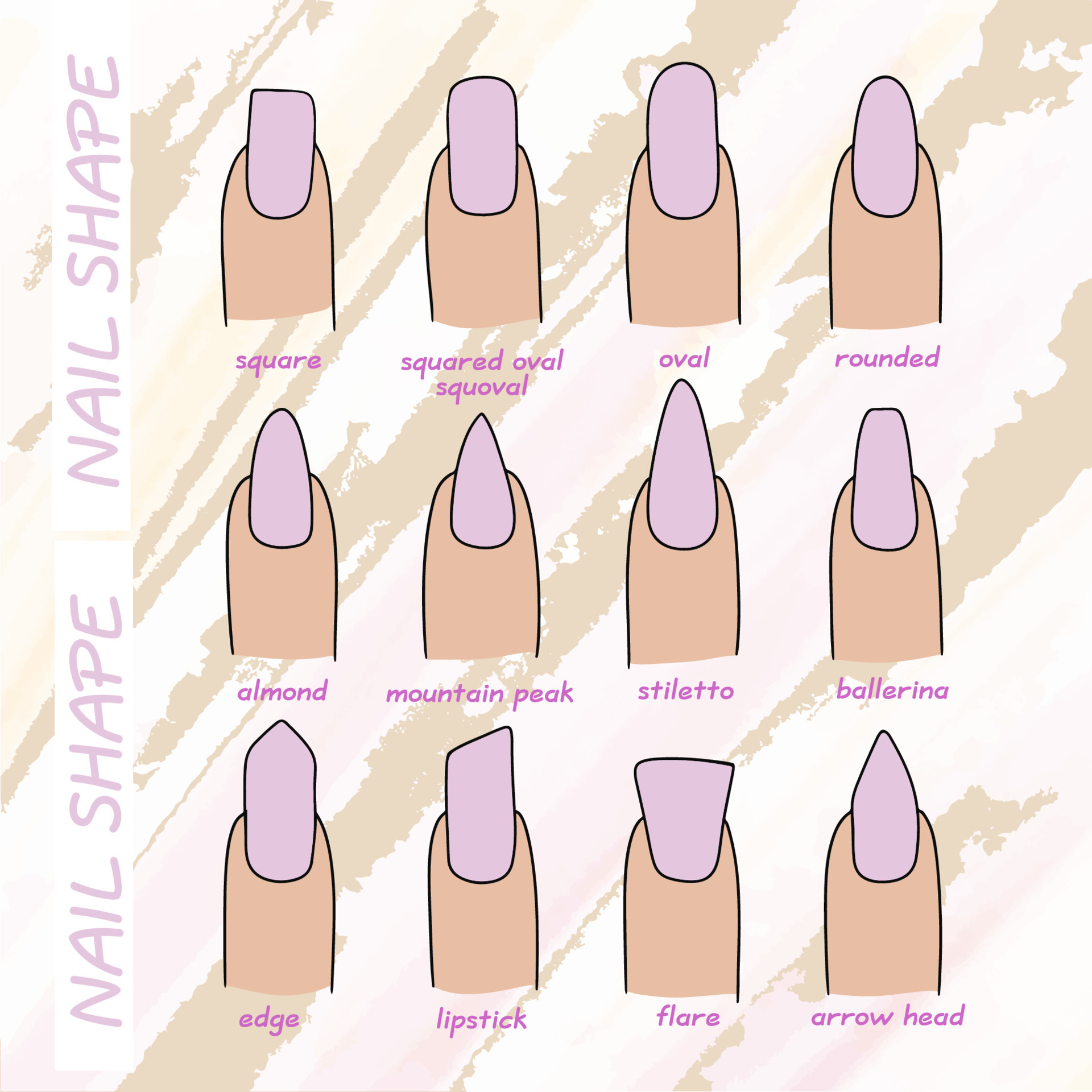 The shape of the nail plate and their name, round, oval and other ...