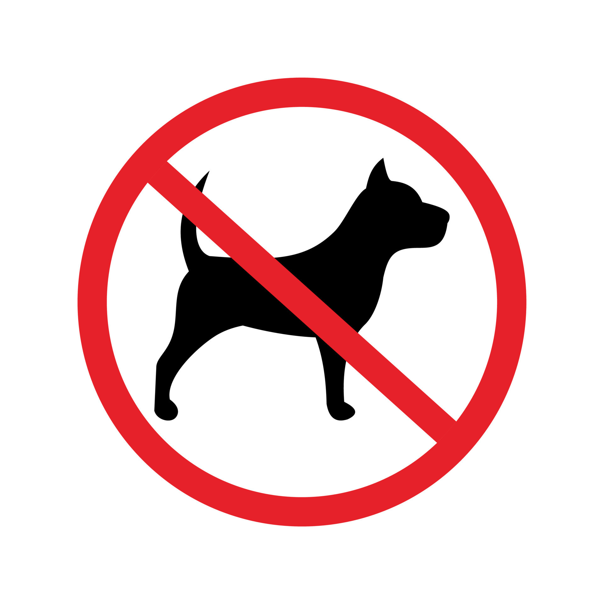 No Pet Sign 9514781 Vector Art At Vecteezy no-pet-sign-9514781-vector-art-at-vecteezy