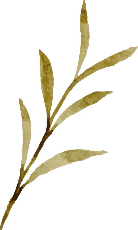 Leaves painted in watercolor. vector