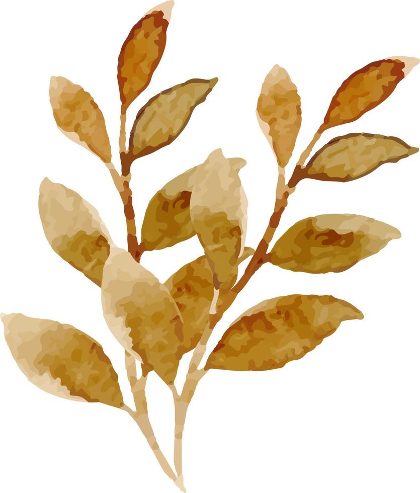 Leaves painted in watercolor. vector