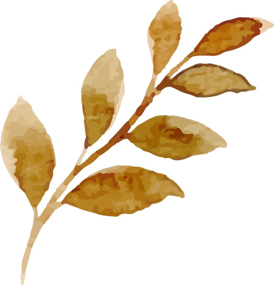 hojas pintadas en acuarela. vector