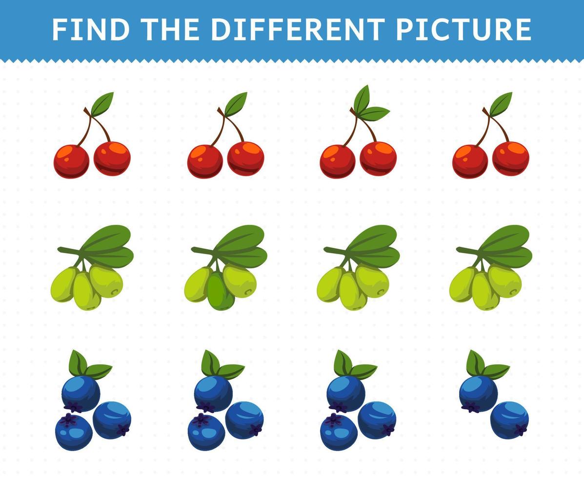 Education game for children find the different picture in each row fruits cherry olive blueberries vector