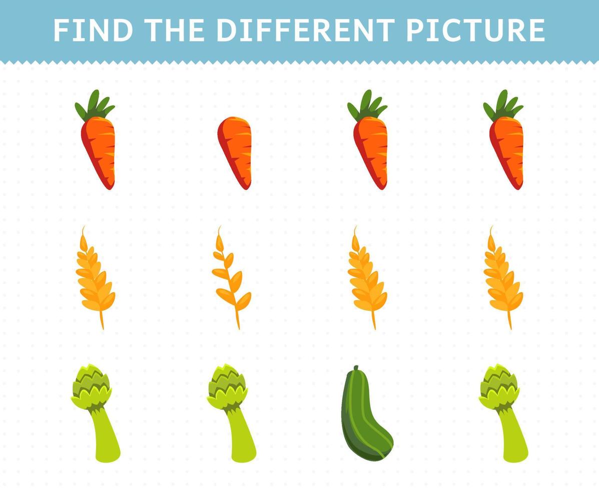 Education game for children find the different picture in each row vegetables carrot wheat asparagus cucumber vector