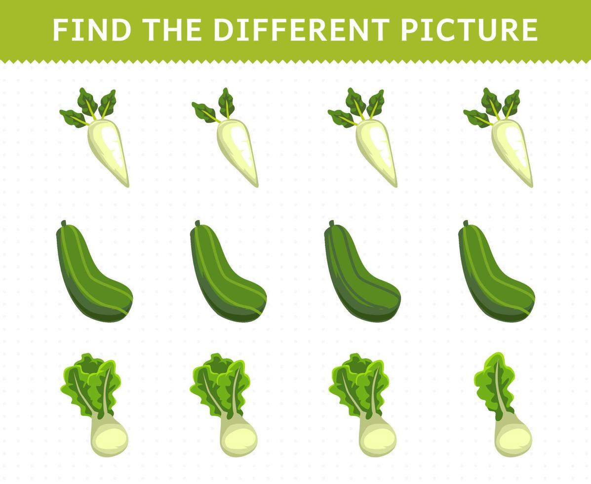 Education game for children find the different picture in each row vegetables daikon turnip cucumber lettuce vector