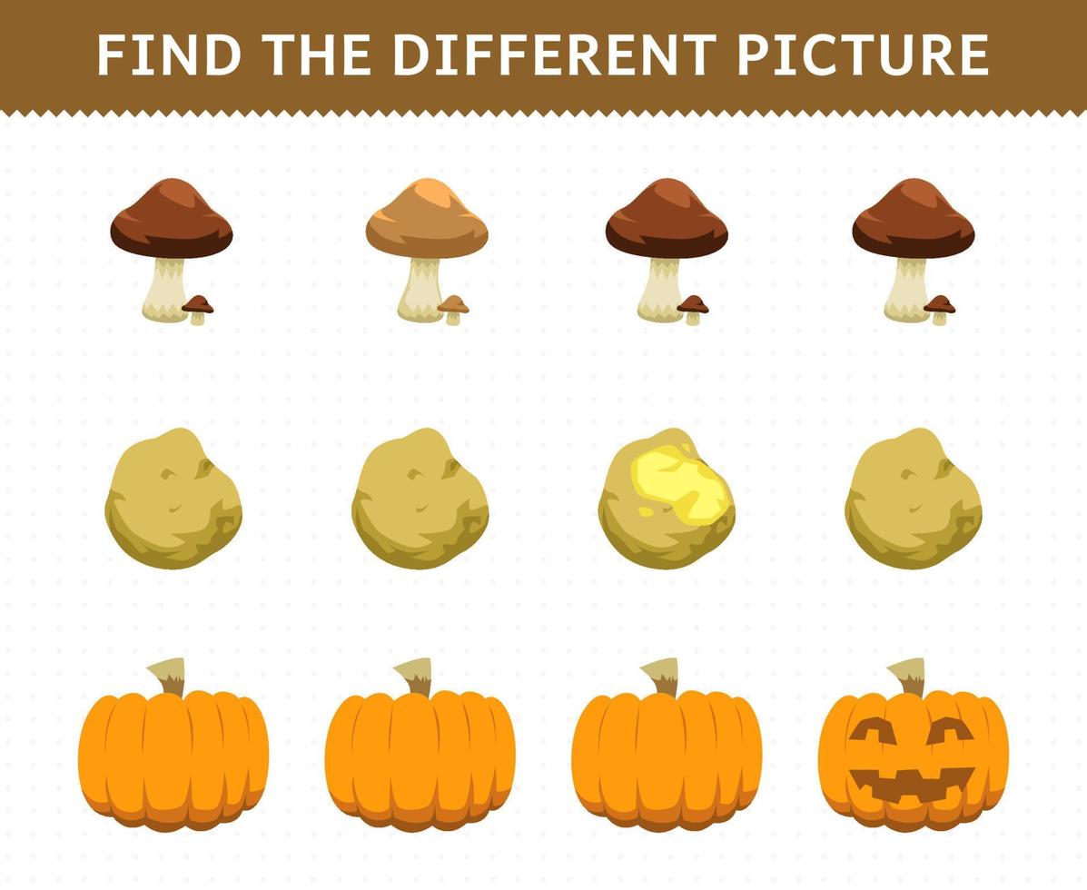 Education game for children find the different picture in each row vegetables mushroom potato pumpkin vector