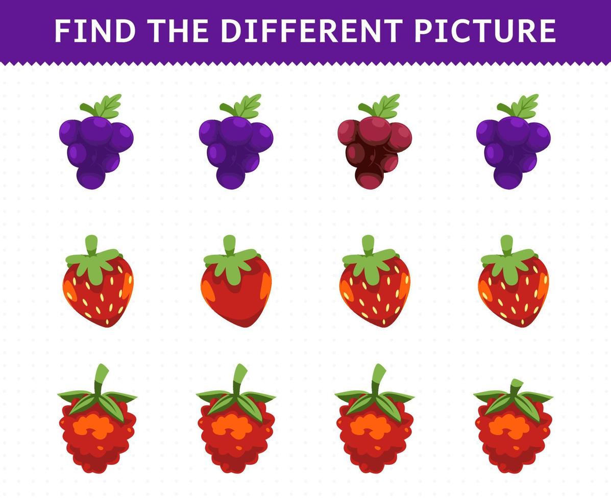 Education game for children find the different picture in each row fruits grape strawberry raspberries vector