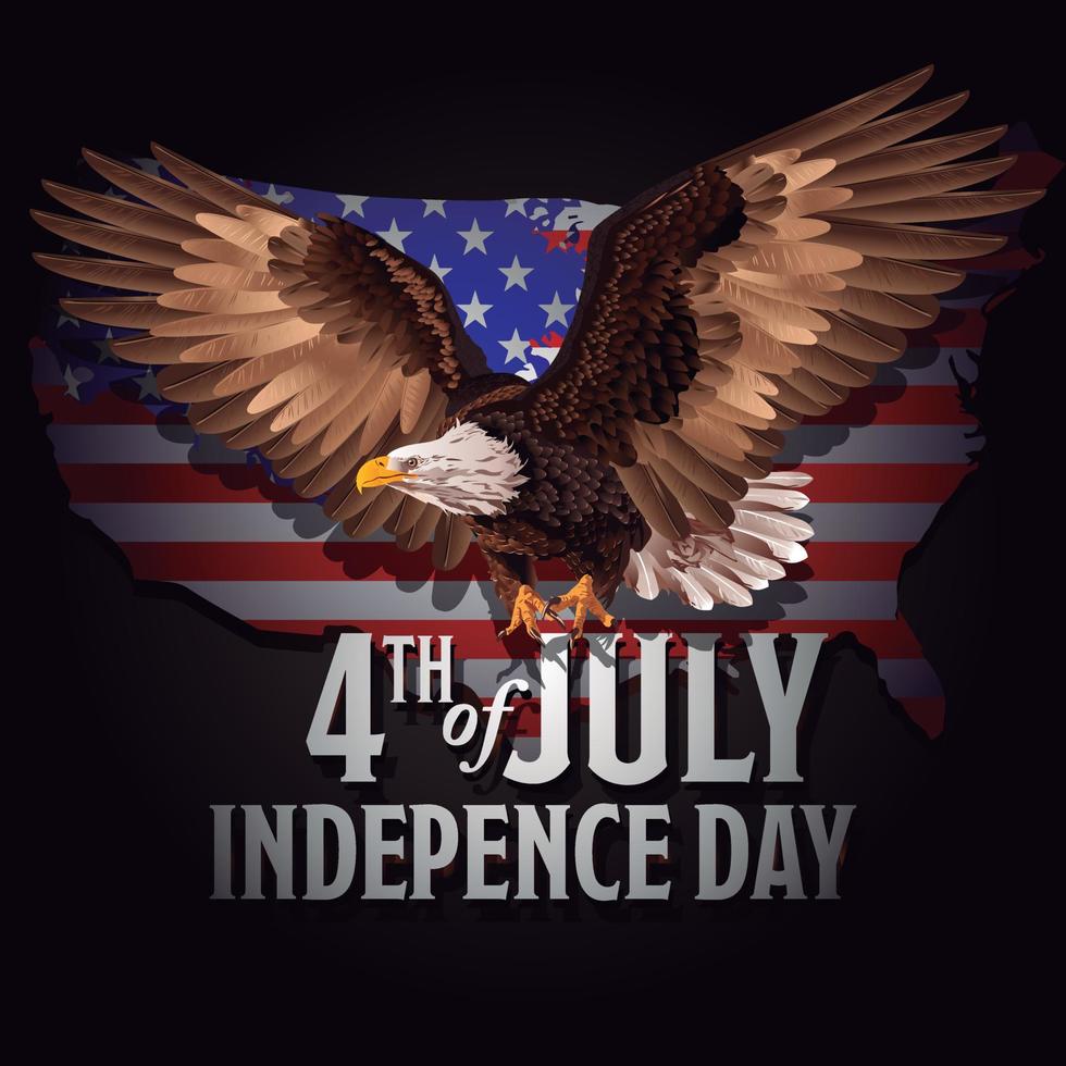 American Bald eagle vector image.