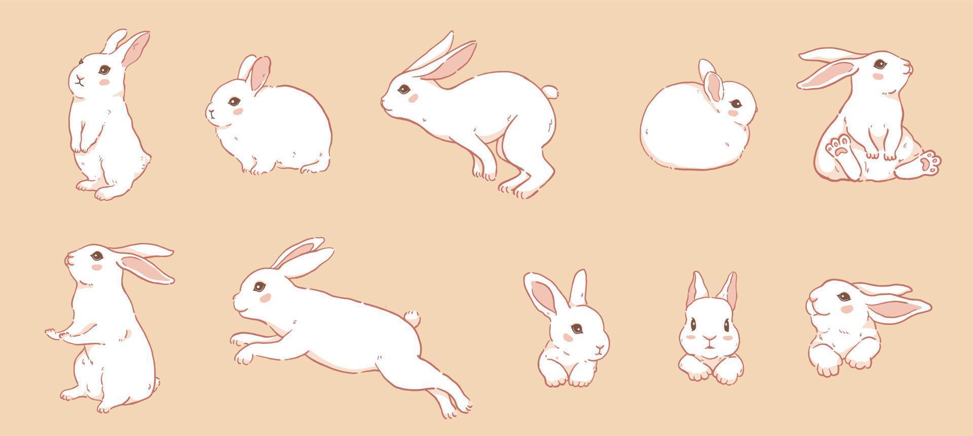 linda colección de conejos blancos de dibujos animados vector
