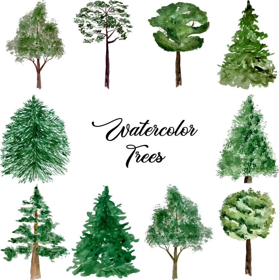 Watercolor set of green forest trees isolated on white vector