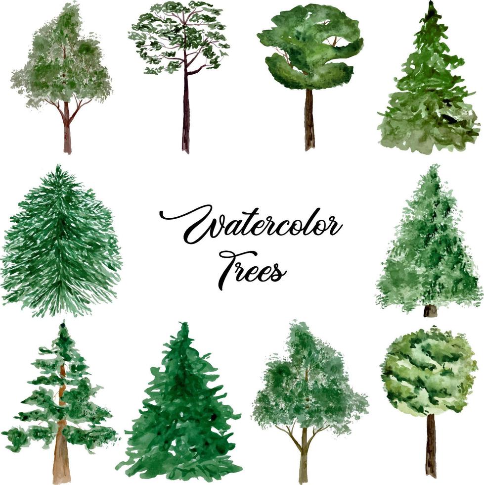 acuarela, conjunto, de, bosque verde, árboles, aislado, blanco vector