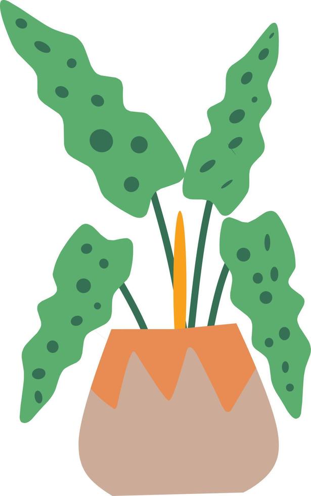rustic flower illustration decorative vector