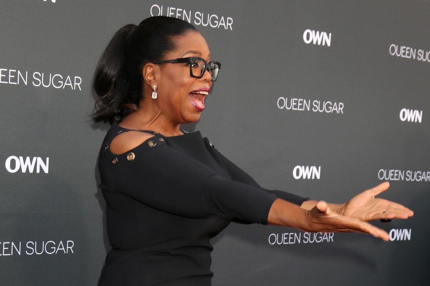 LOS ANGELES, AUG 29 - Oprah Winfrey at the Premiere Of OWN s Queen Sugar at the Warner Brothers Studios on August 29, 2016 in Burbank, CA photo
