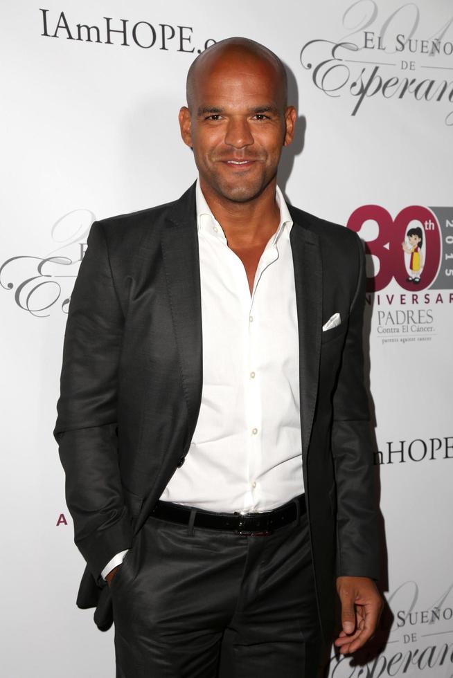 LOS ANGELES, SEP 17 - Amaury Nolasco at the Padres Contra El Cancer s 15th Annual El Seuno De Esperanza at the Boulevard3 on September 17, 2015 in Los Angeles, CA photo