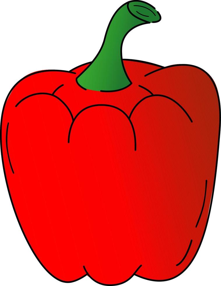 Vector illustration of red pepper. It is used for magazines, books, applications, posters, menu covers, web pages, advertising, marketing, icons, logos.