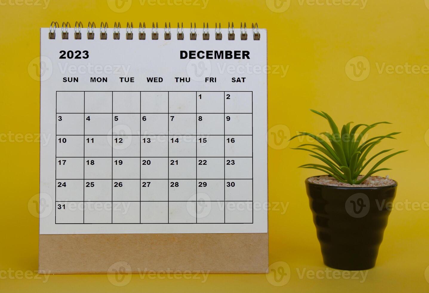 calendario de escritorio de diciembre de 2023 con planta de mesa sobre fondo amarillo. foto