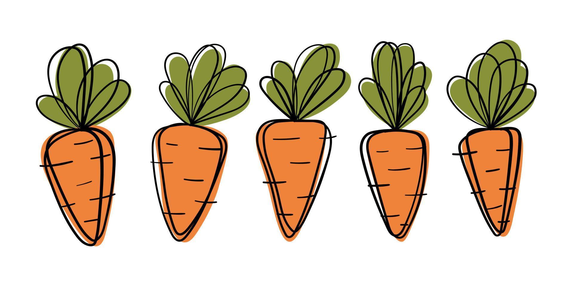 Set of cute cartoon doodle carrots. Bright outline and rich colors. vector