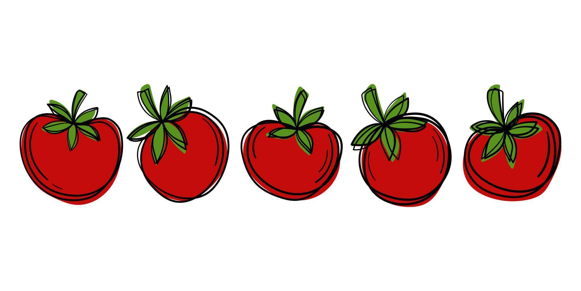 Set of cute cartoon doodle tomatoes. Bright outline and rich colors. vector