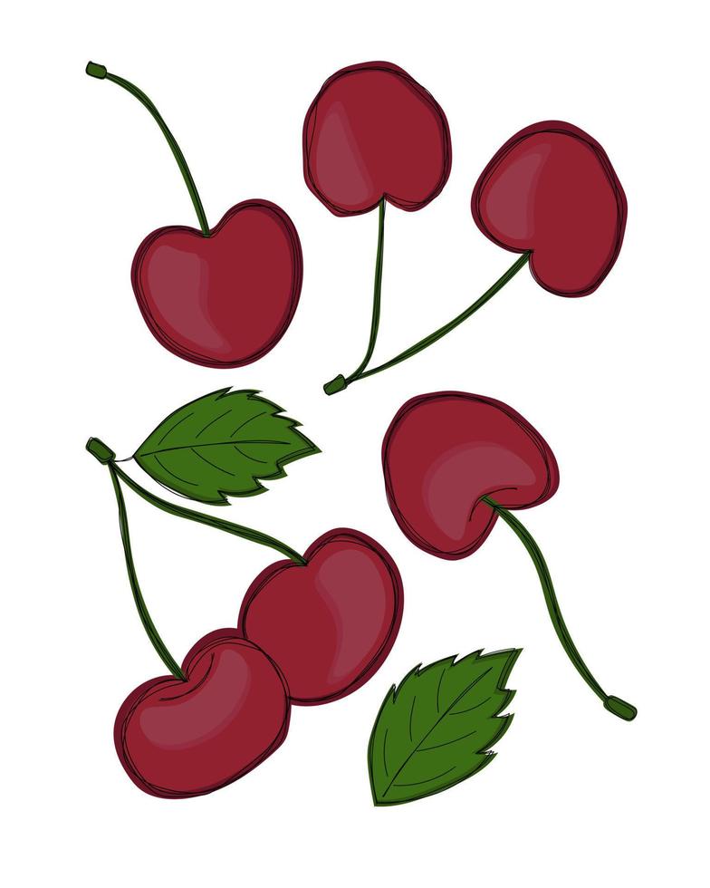 conjunto de cerezas maduras dulces vector