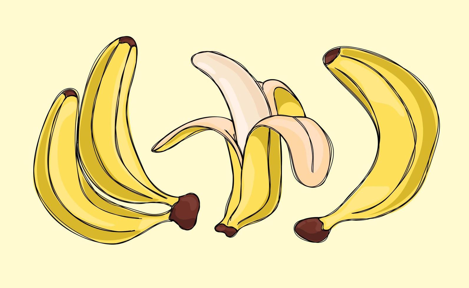 Set of cute sweet bananas vector