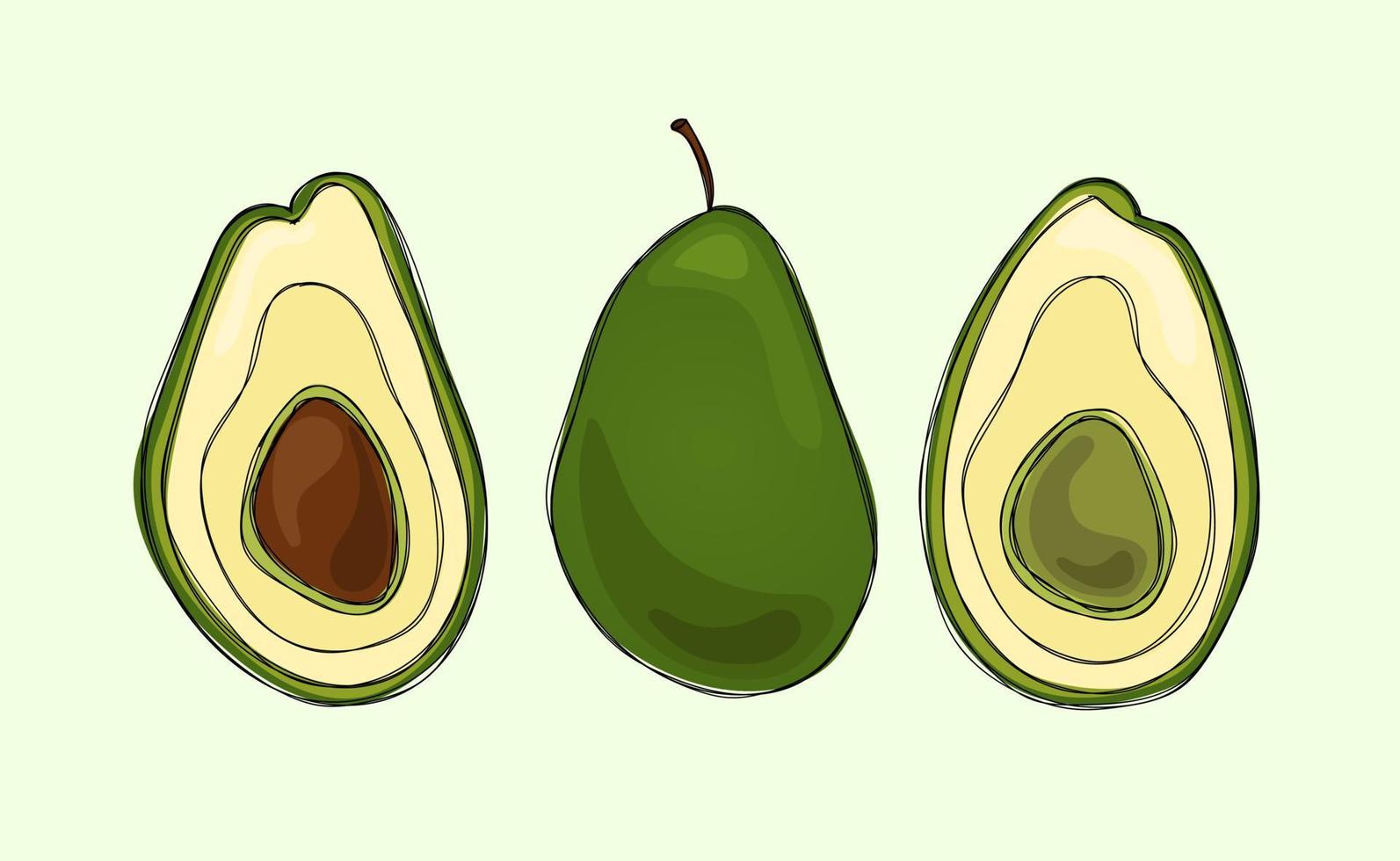 Healthy Green Avocado Fruit Set vector