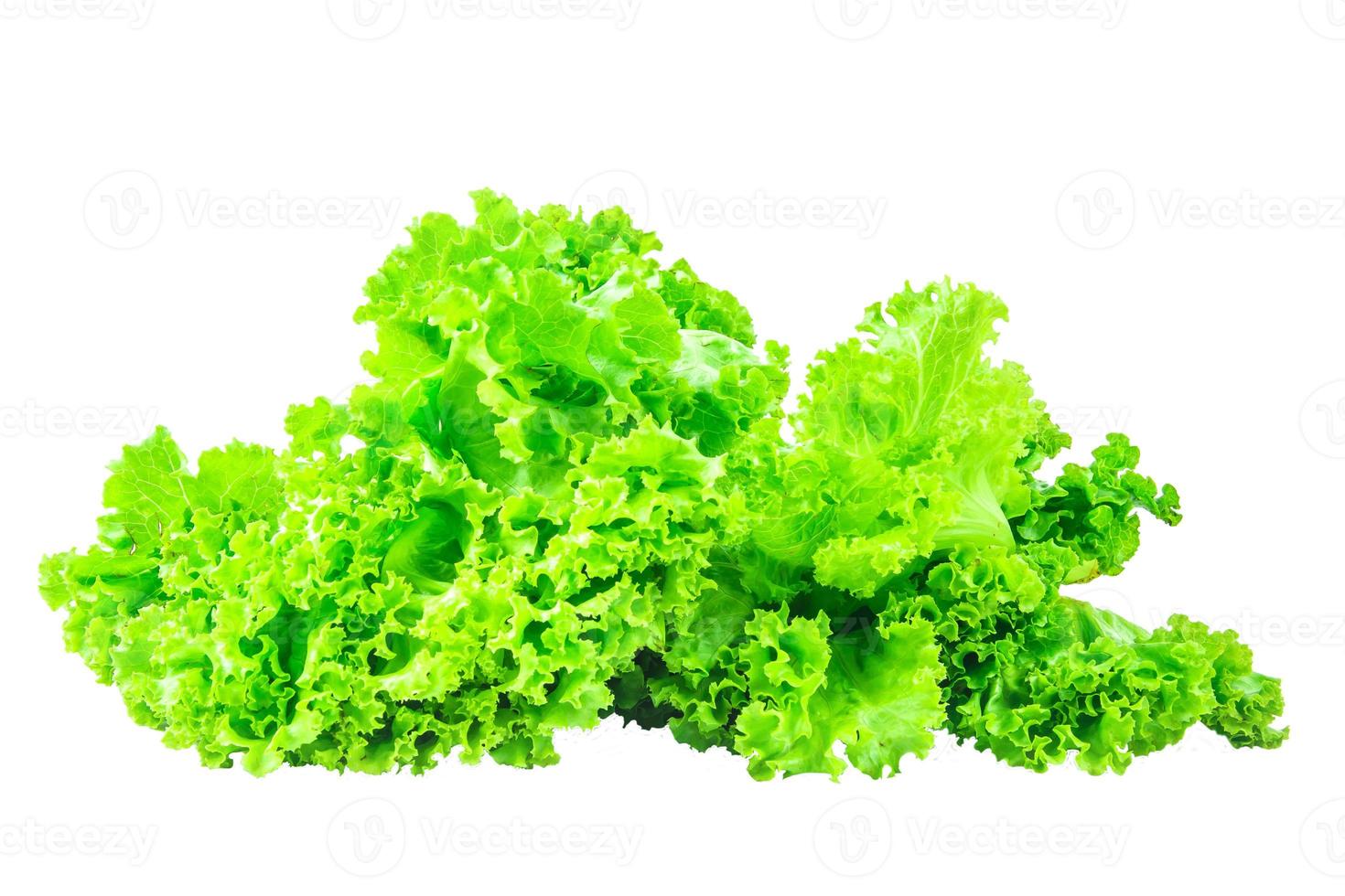 lettuce  on isolated background Clipping path photo