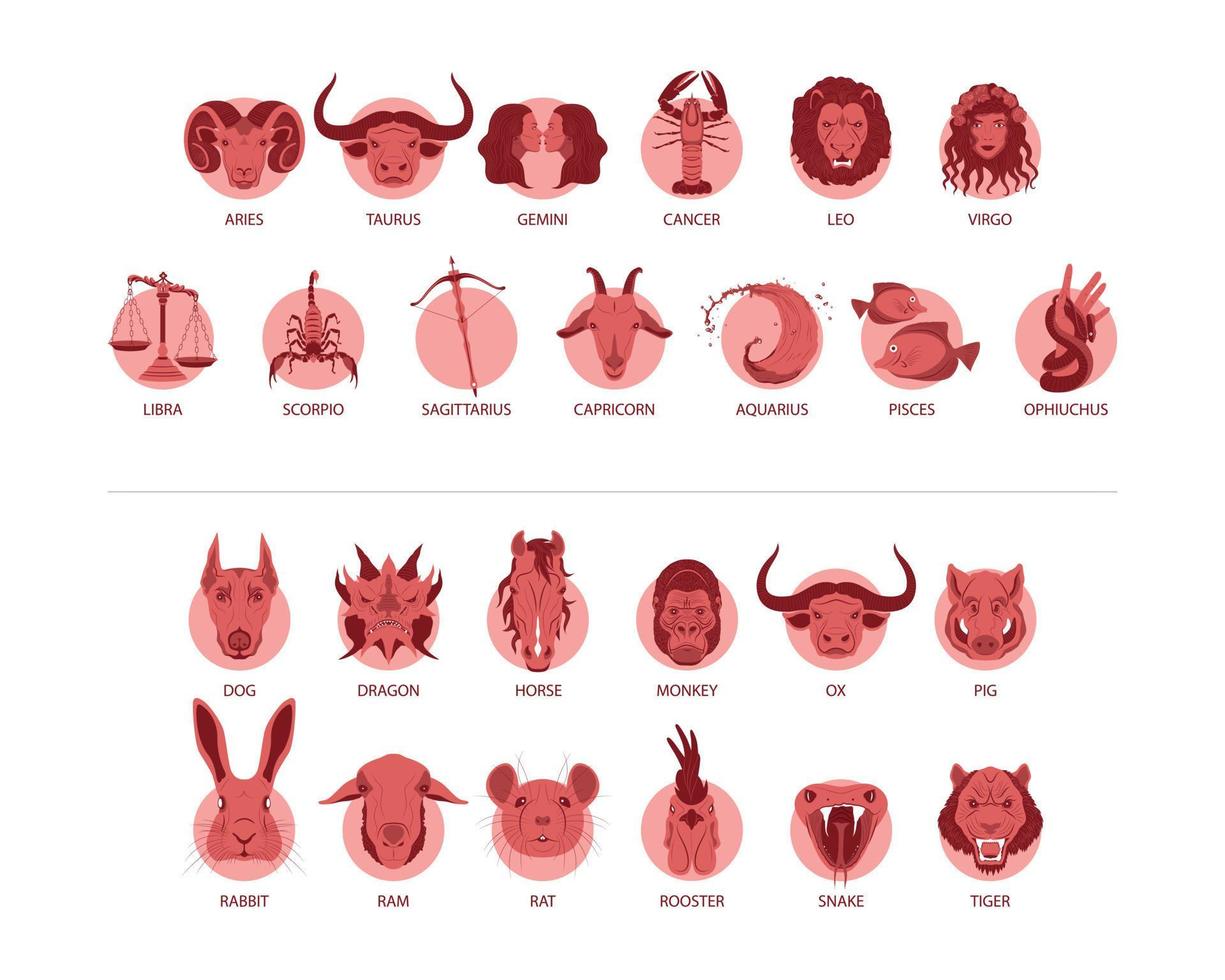 Collection of Zodiac and Horoscope Signs vector