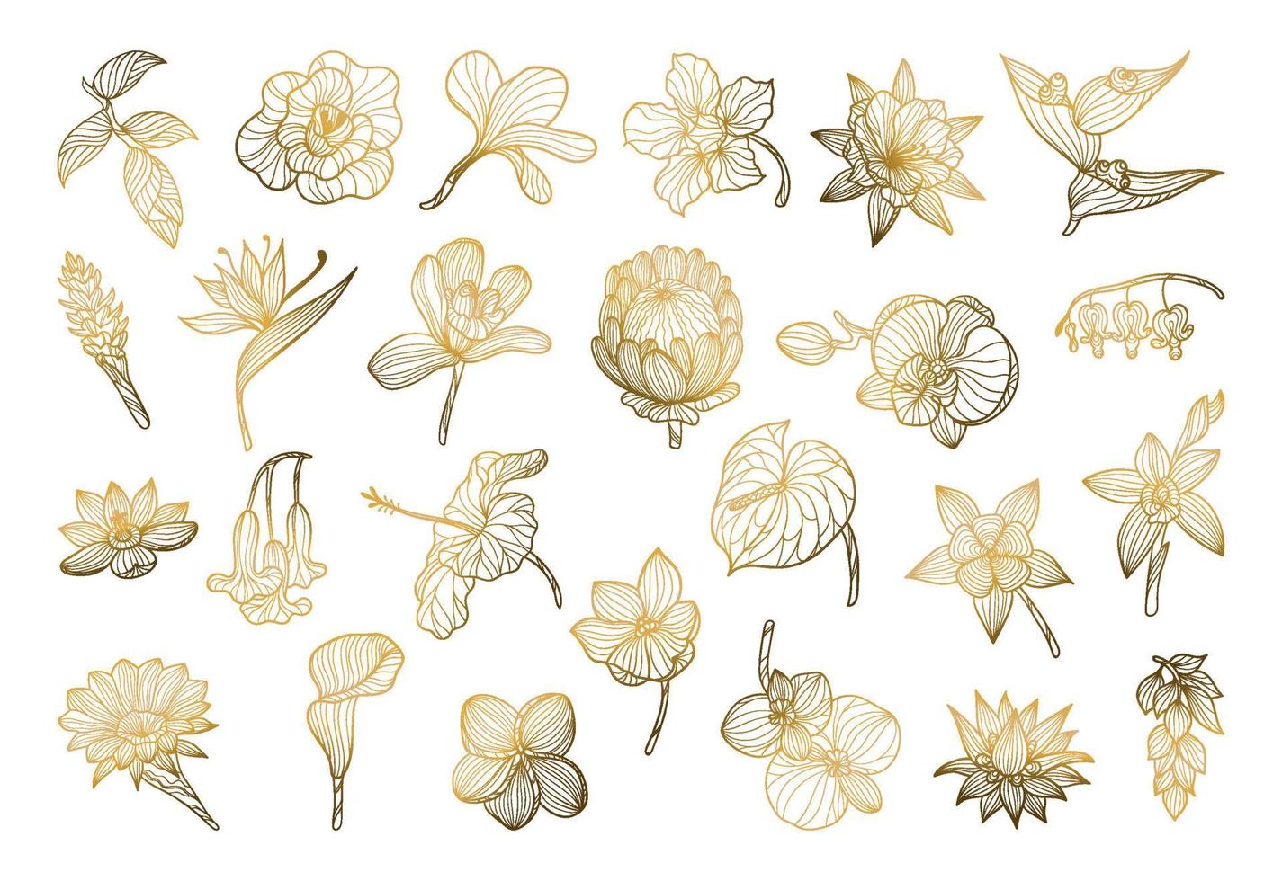 Exotic Flowers in a Linear Style vector