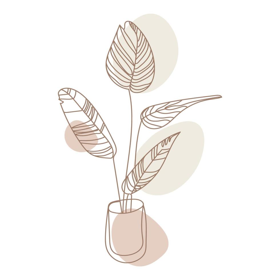 Houseplant,outline drawing plant in pot vector illustration.Indoor exotic flowers,plant for home and interior Laner drawing in Minimalist art style neutral pastel colors for decoration design element