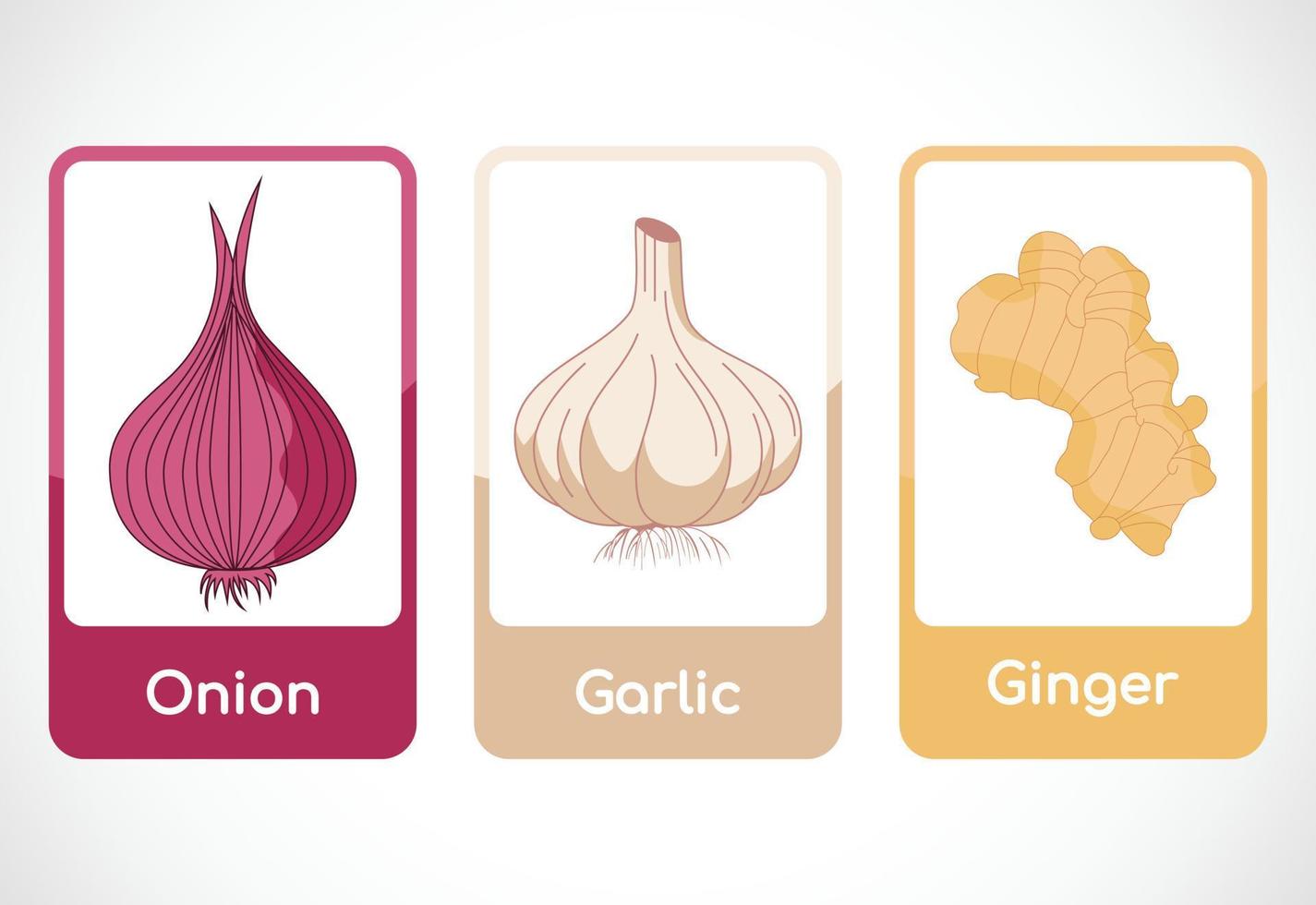 Vegetable flashcards for kids. Educational cards for preschool. Printable vector illustration