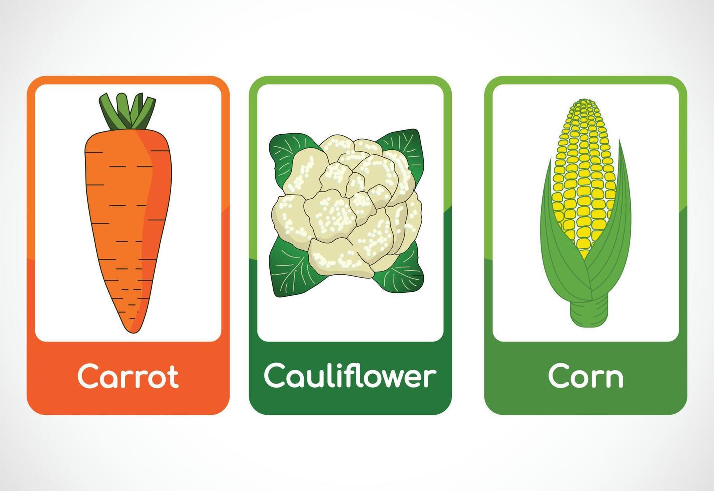 Vegetable flashcards for kids. Educational cards for preschool ...