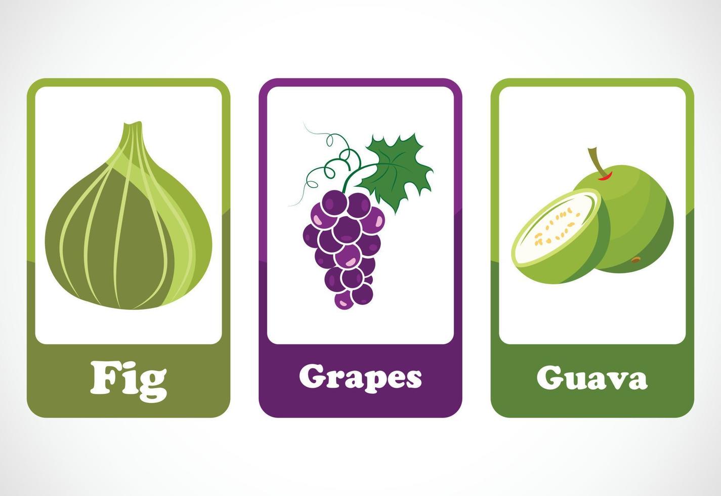 Fruit flashcards for kids. Educational cards for preschool. Printable vector illustration